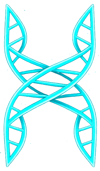 Helix Project